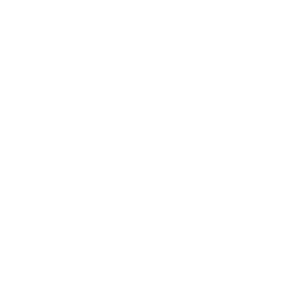 Logo Zuzu